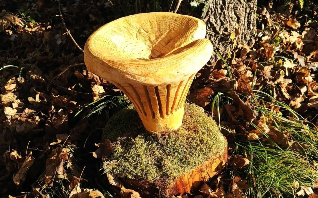 Pilz Pfifferling Nr.12